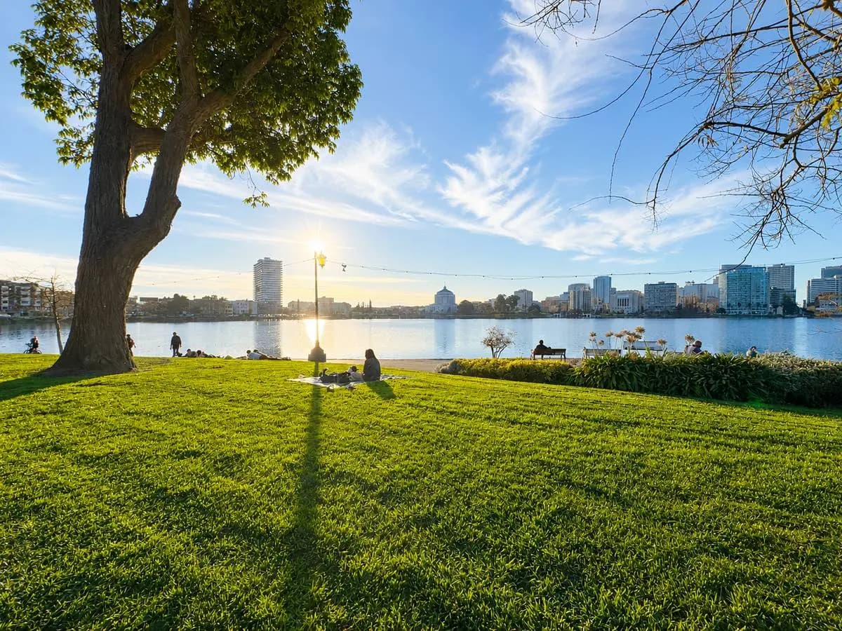 1918 Lakeshore Avenue #42, rental in Grand Lake, Oakland