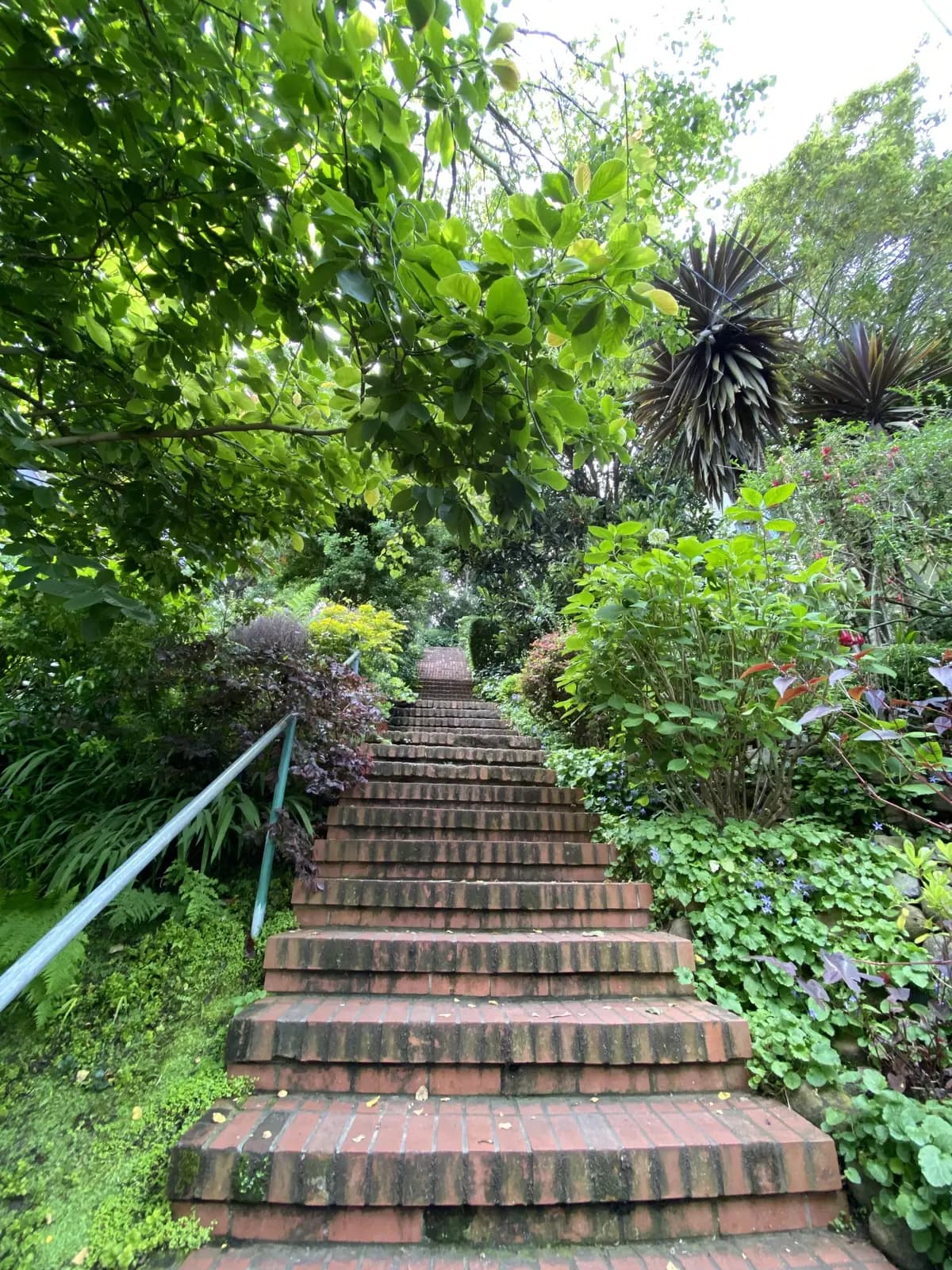 576 Chestnut Street, rental in North Beach, San Francisco